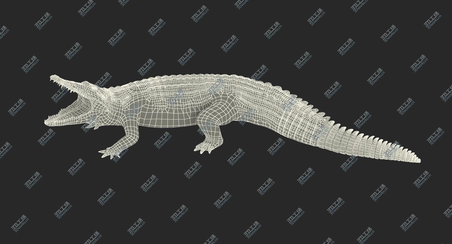 images/goods_img/202104094/Crocodile Attacks Pose 3D Model/4.jpg